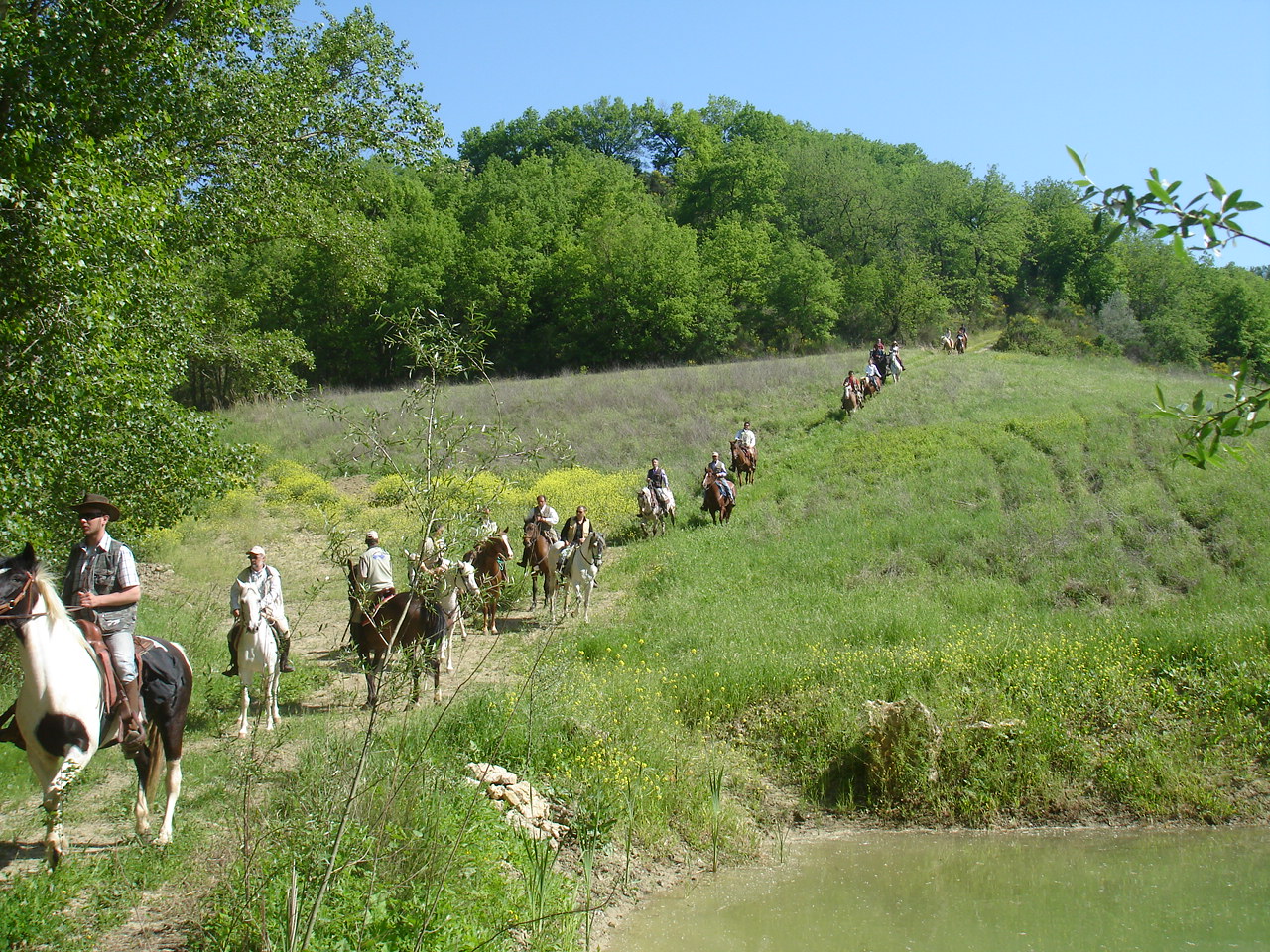passeggiata a cavallo